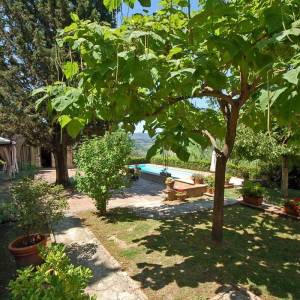 imgi garden torrevista villa san gimignano imgi garden torrevista villa san gimignano