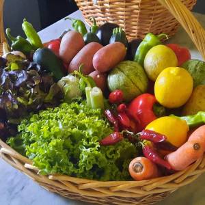 imgi villa greta val d orcia00087