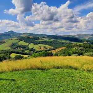 imgi villa greta val d orcia00083