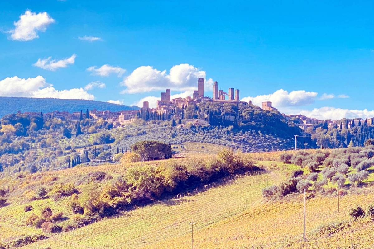 sangimignanoefad5 sangimignanoefad5
