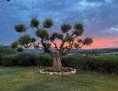 ferie villa i toscana italien pool tennisbane 116 silenti sunsetx800